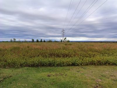 FINCA DE 25 HA EN EL CARRIZAL