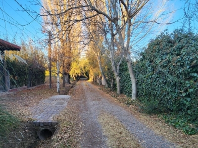 LOTES EN CALLEJON PRIVADO EN CHACRAS DE CORIA